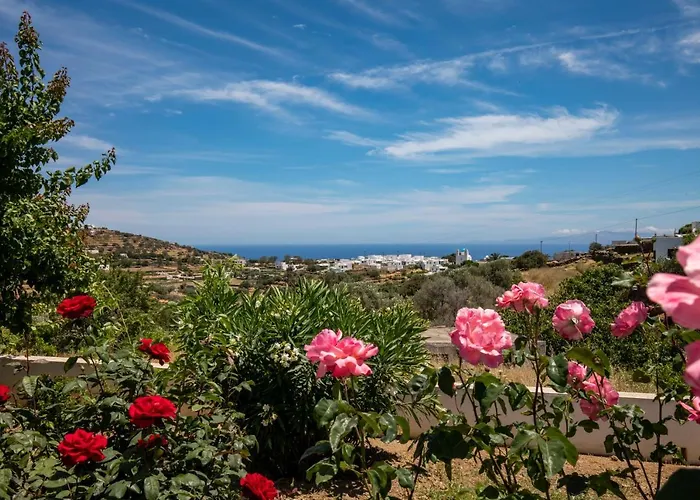 Eutuxia & Apartment Apollonia (Sifnos)